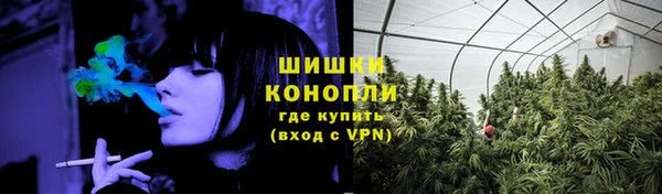 бошки Горнозаводск