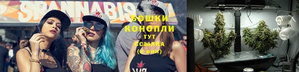 бошки Горнозаводск