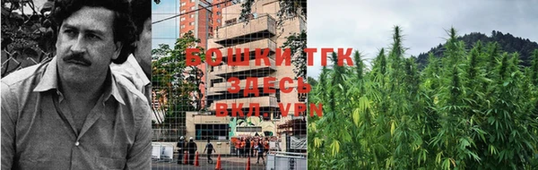 бошки Горнозаводск